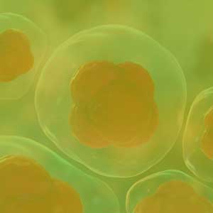 Stemcell Treatments in vizag